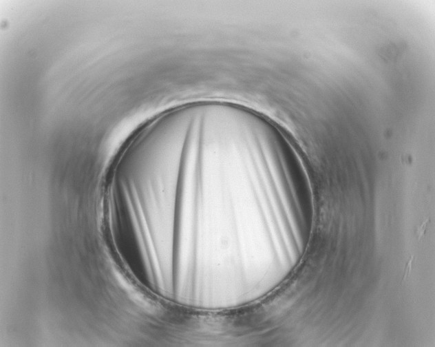 X0000088891511200706221827