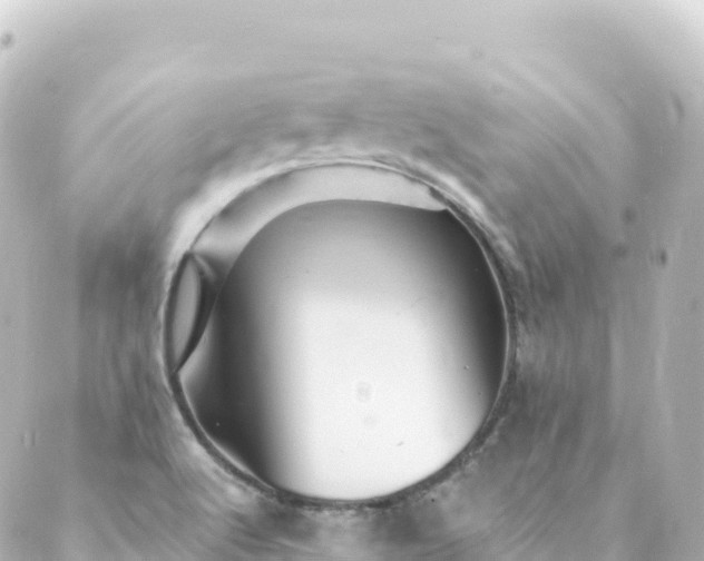 X0000088891512200706221827