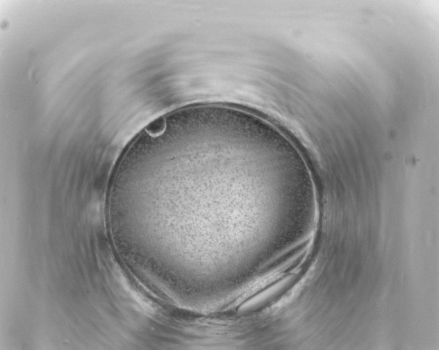 X0000088891513200706221827