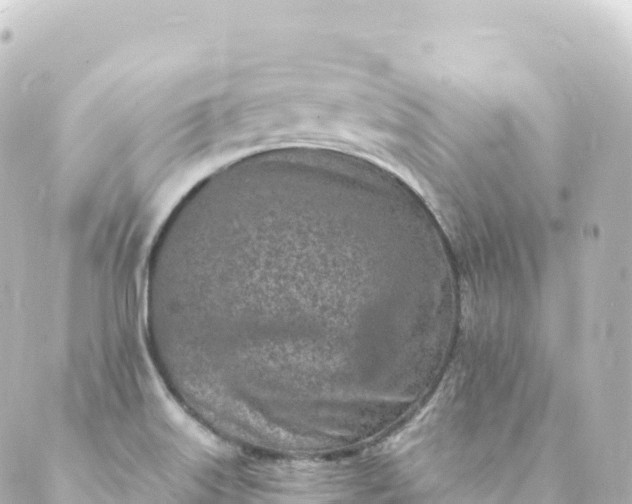 X0000088891515200706221827