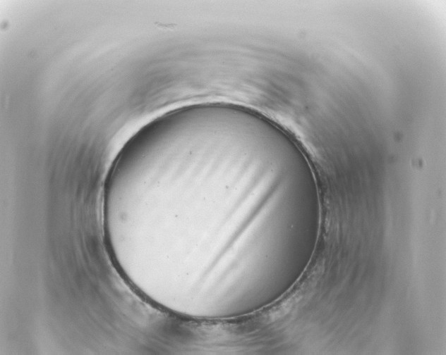 X0000088891516200706221827