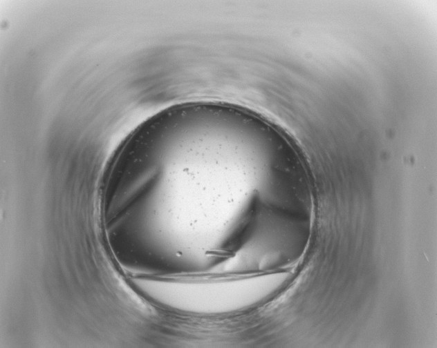 X0000088891517200706221827