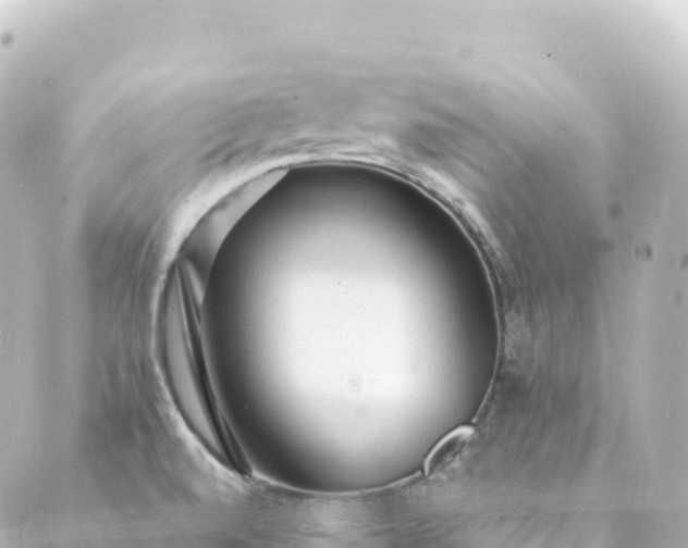 X0000088891520200706221827