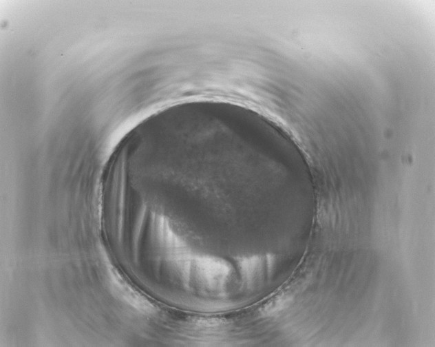 X0000088891522200706221827