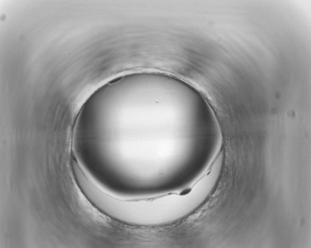 X0000088891524200706221827