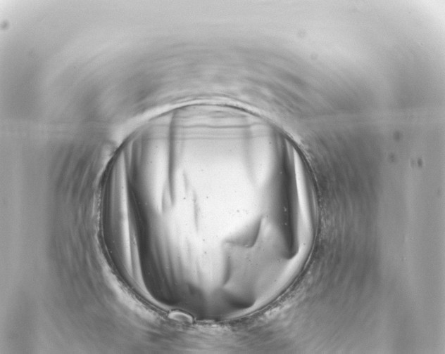 X0000088891526200706221827