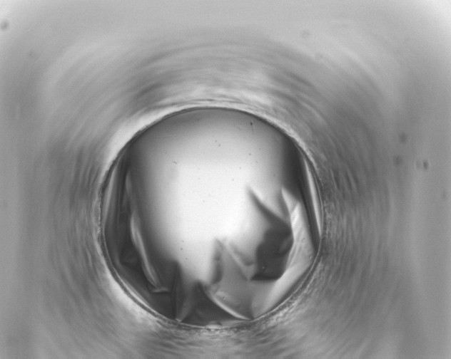 X0000088891531200706221827