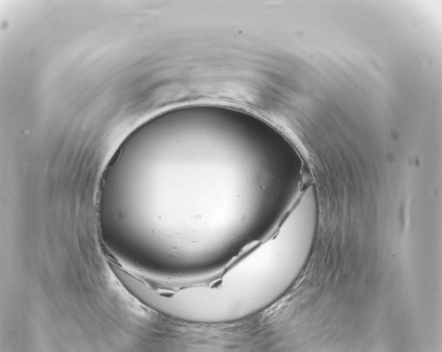 X0000088891532200706221827