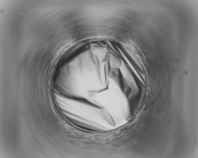 X0000088890001200706291451