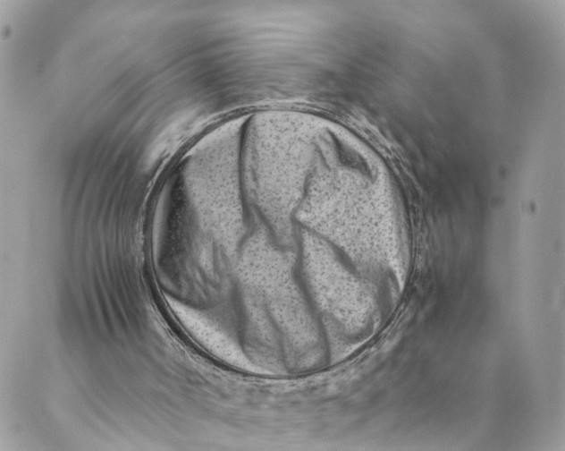 X0000088890002200706291451