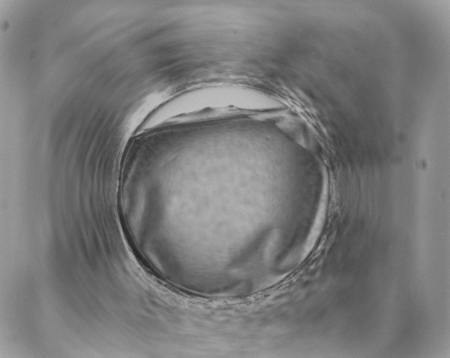 X0000088890003200706291451