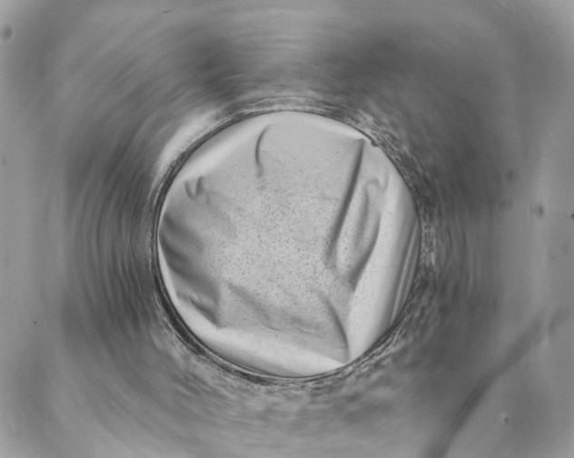 X0000088890004200706291451