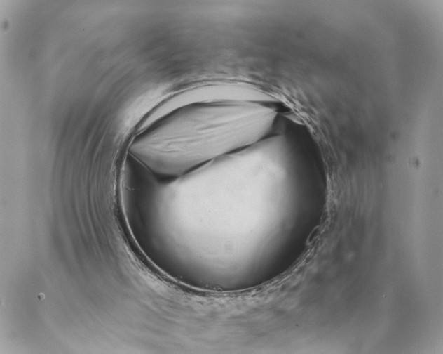 X0000088890005200706291451