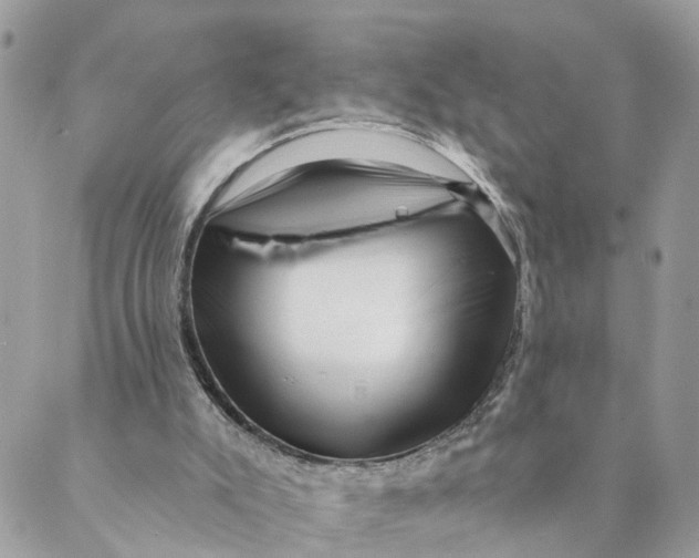 X0000088890007200706291451