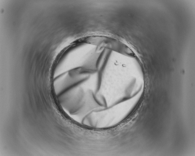 X0000088890008200706291451