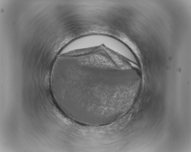 X0000088890009200706291451