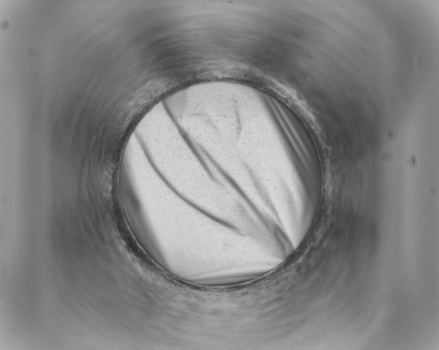 X0000088890010200706291451