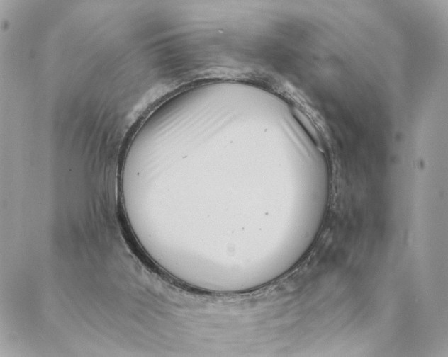 X0000088890011200706291451