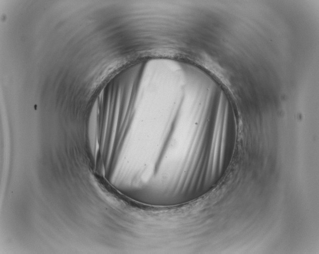 X0000088890013200706291451