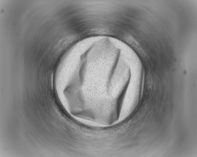 X0000088890014200706291451