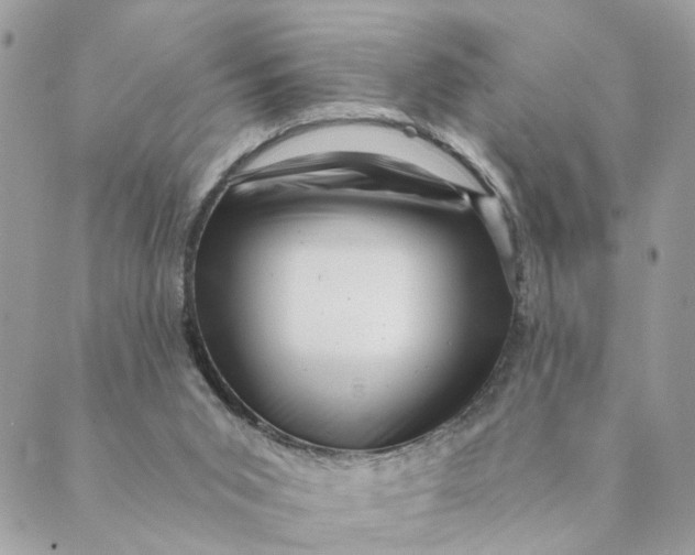 X0000088890015200706291451