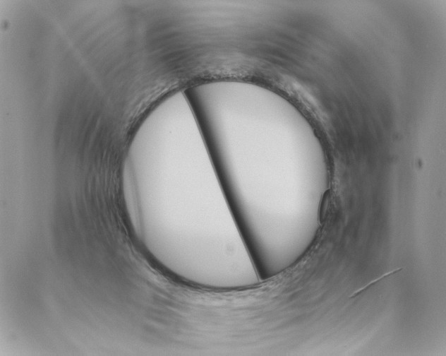 X0000088890017200706291451