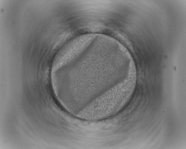 X0000088890018200706291451