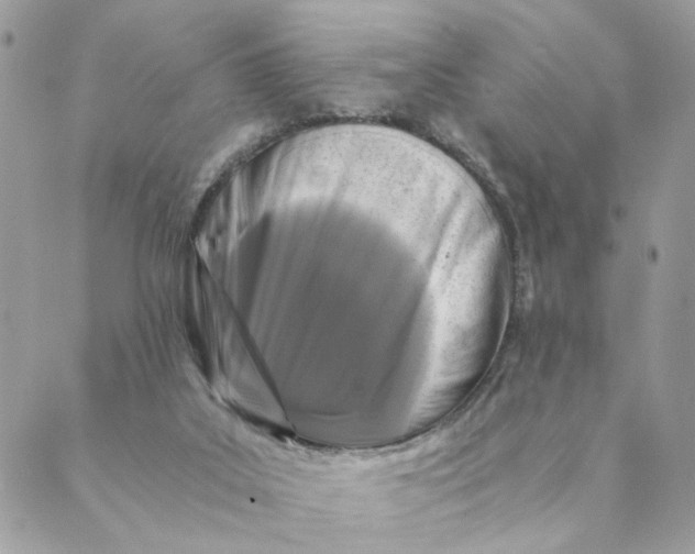 X0000088890019200706291451