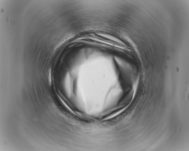 X0000088890020200706291451