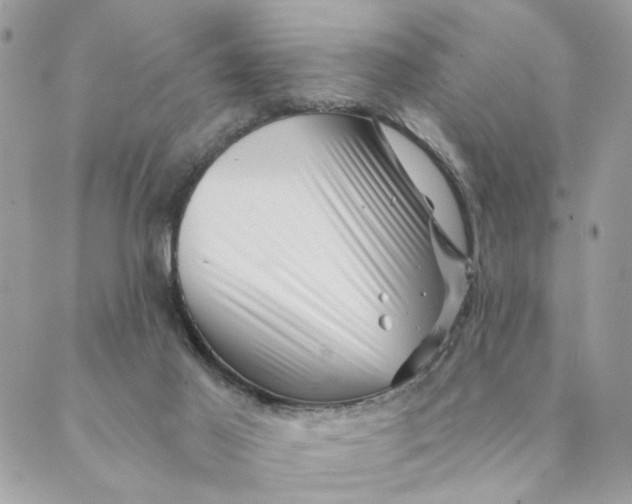 X0000088890021200706291451