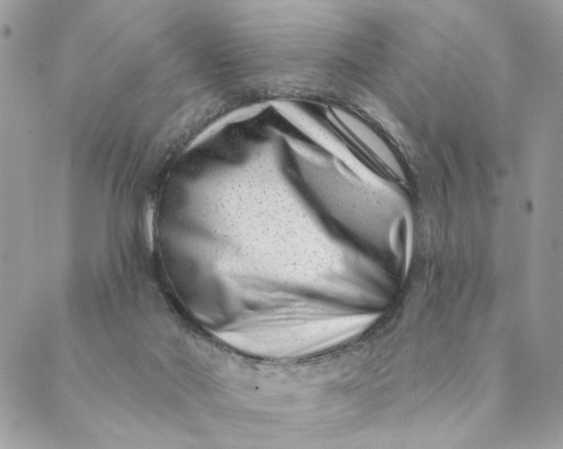 X0000088890022200706291451