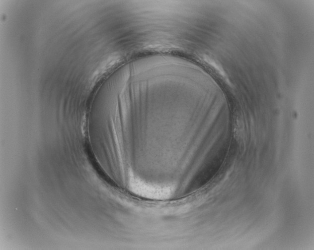 X0000088890023200706291451