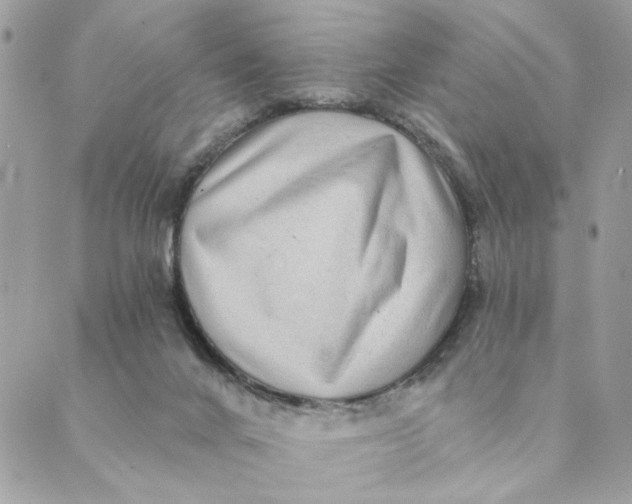 X0000088890024200706291451