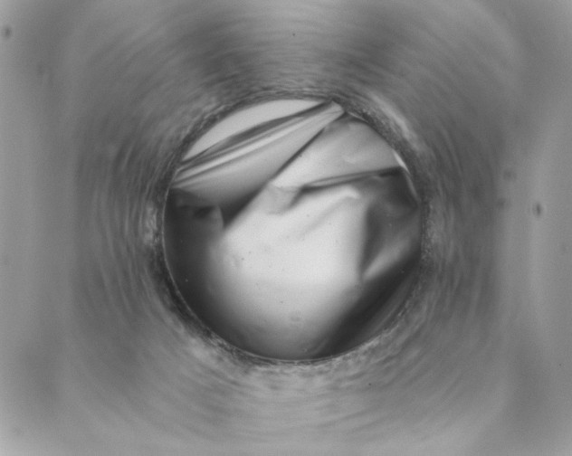 X0000088890025200706291451