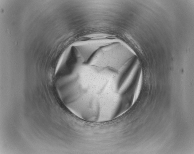 X0000088890026200706291451