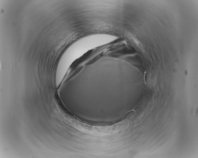 X0000088890027200706291451