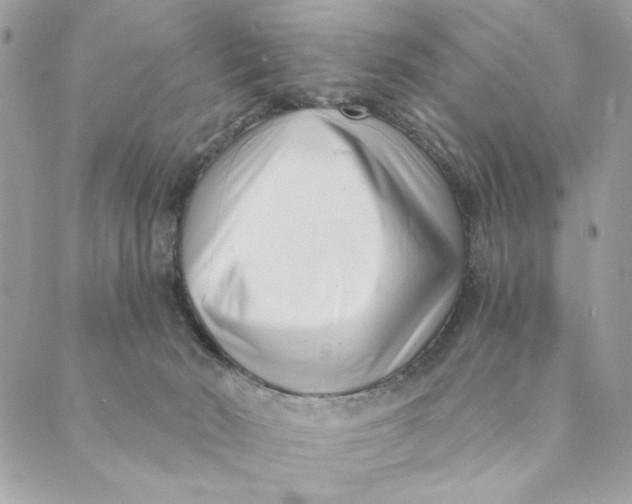X0000088890030200706291451