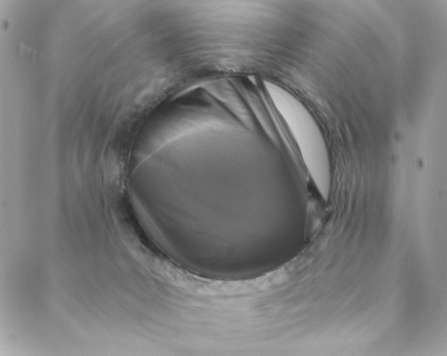 X0000088890031200706291451