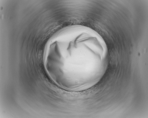 X0000088890034200706291451