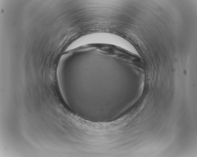 X0000088890035200706291451