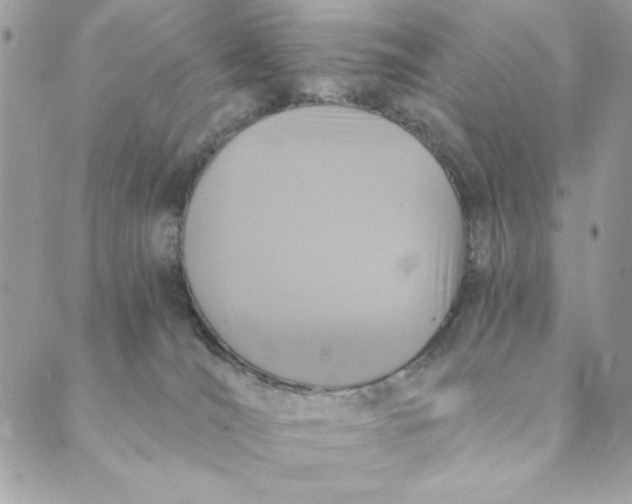 X0000088890036200706291451