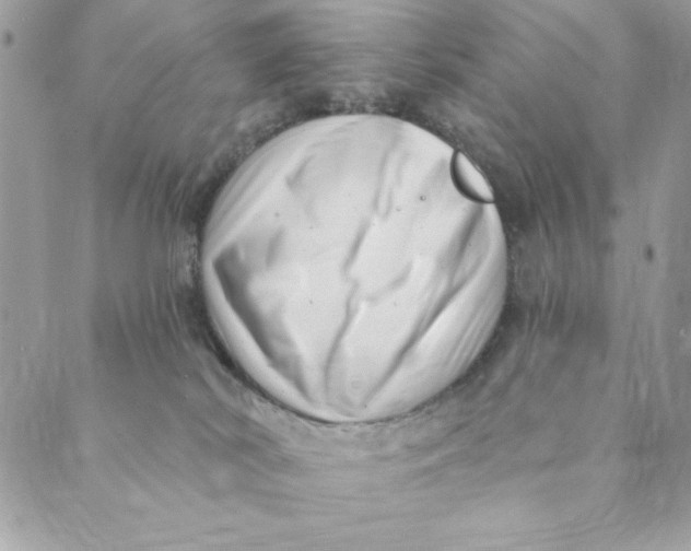 X0000088890038200706291451