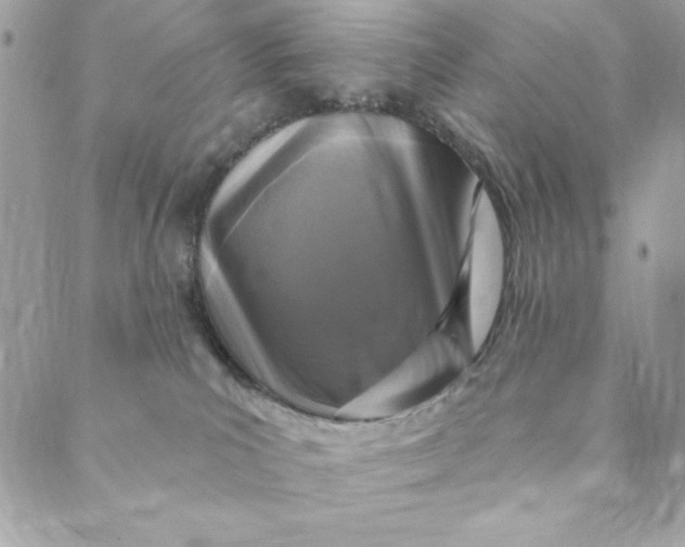 X0000088890039200706291451