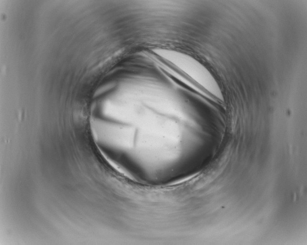 X0000088890040200706291451