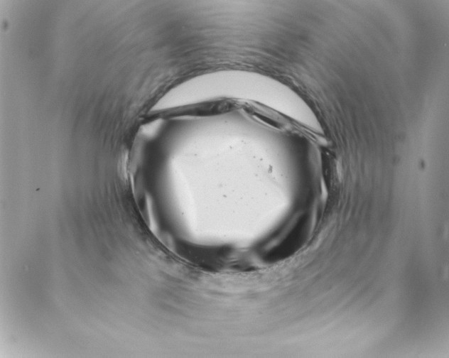 X0000088890041200706291451