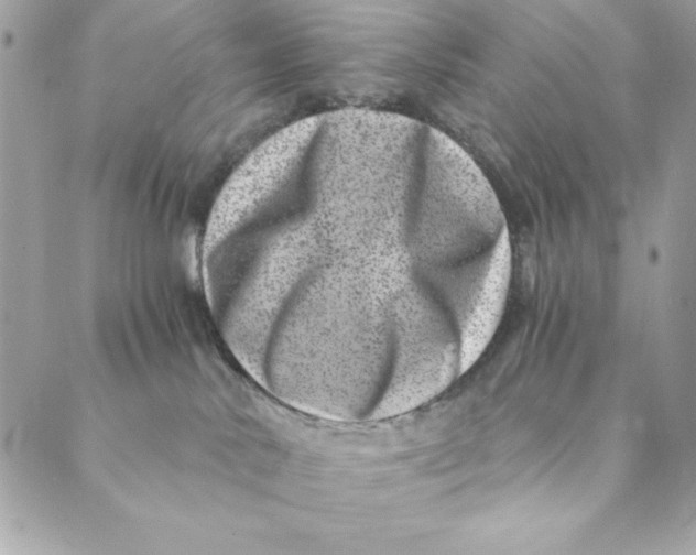X0000088890042200706291451