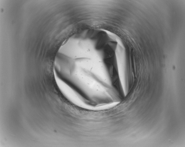 X0000088890044200706291450