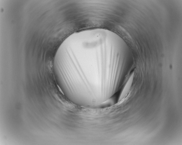 X0000088890045200706291450