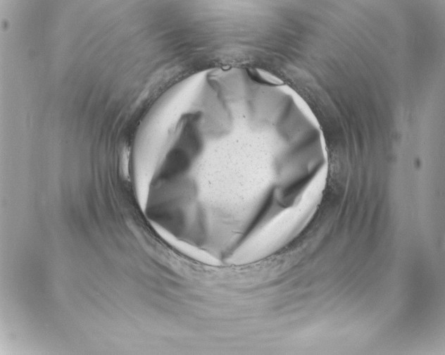 X0000088890046200706291450