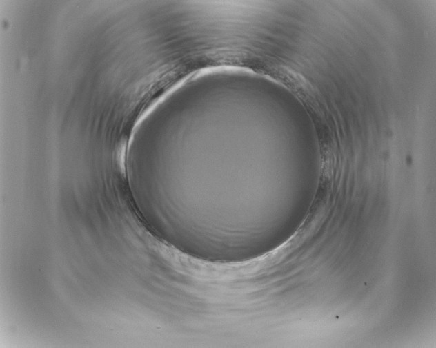 X0000088890047200706291450